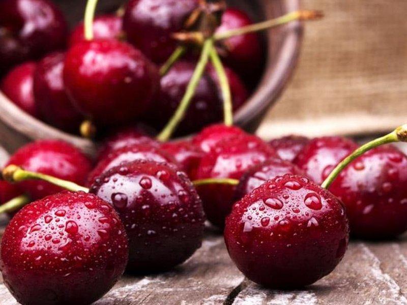 Вишня купить саженцы из питомника в Жуковском